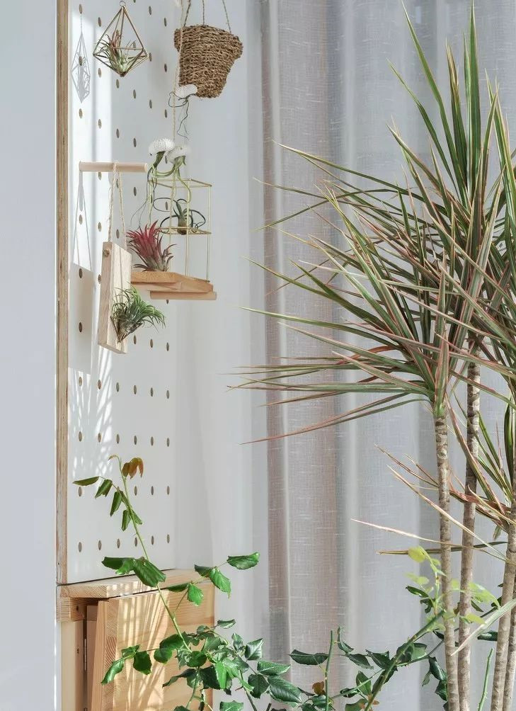 晒我62平米小户型,全屋明亮又通透,入户鞋柜太实用,最满意卧室