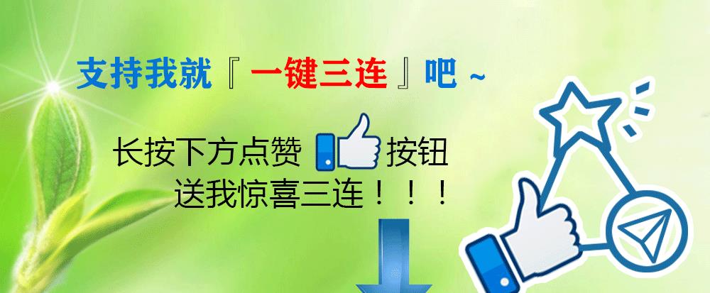 叶罗丽|菲灵仙子翻阅命运之书，收获肯定之余也开启升级路，还会肩负重任