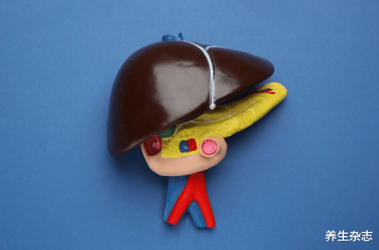 肝脏|转告父母:冰箱中的2种食物,或在悄悄“糟蹋”肝脏,尽量少吃