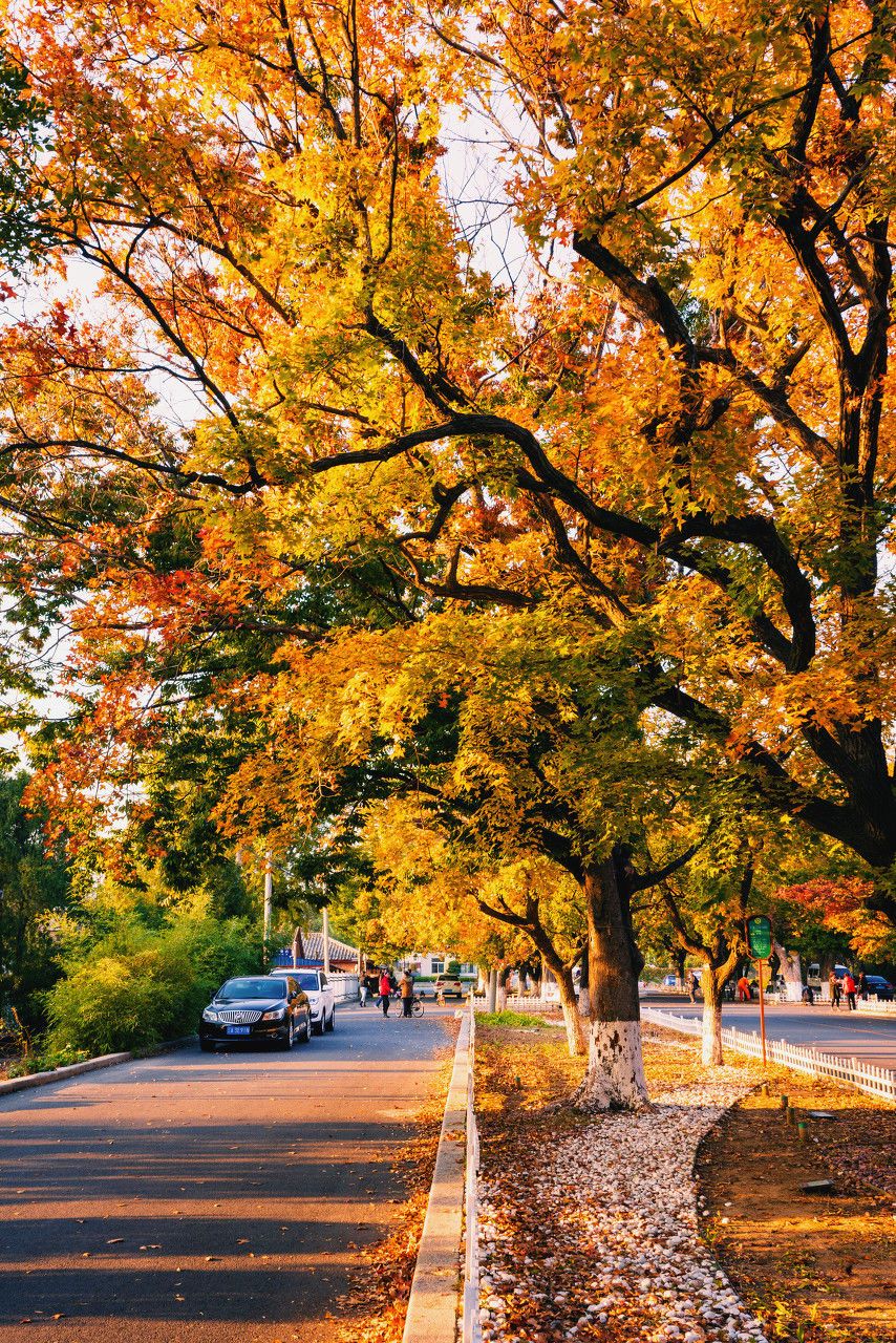 长白山|东北的秋天多诱人!这个秋天,来东北看看人间仙境