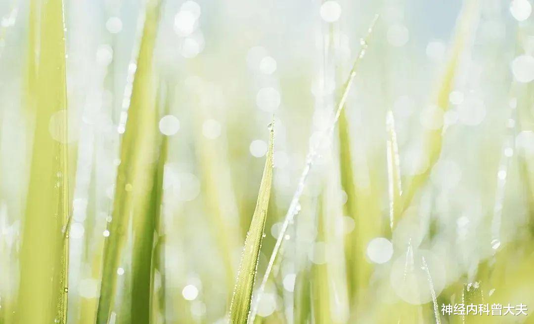 枸杞|脑梗以后不吃药行不行,别着急做决定,先了解下脑梗的三大危害