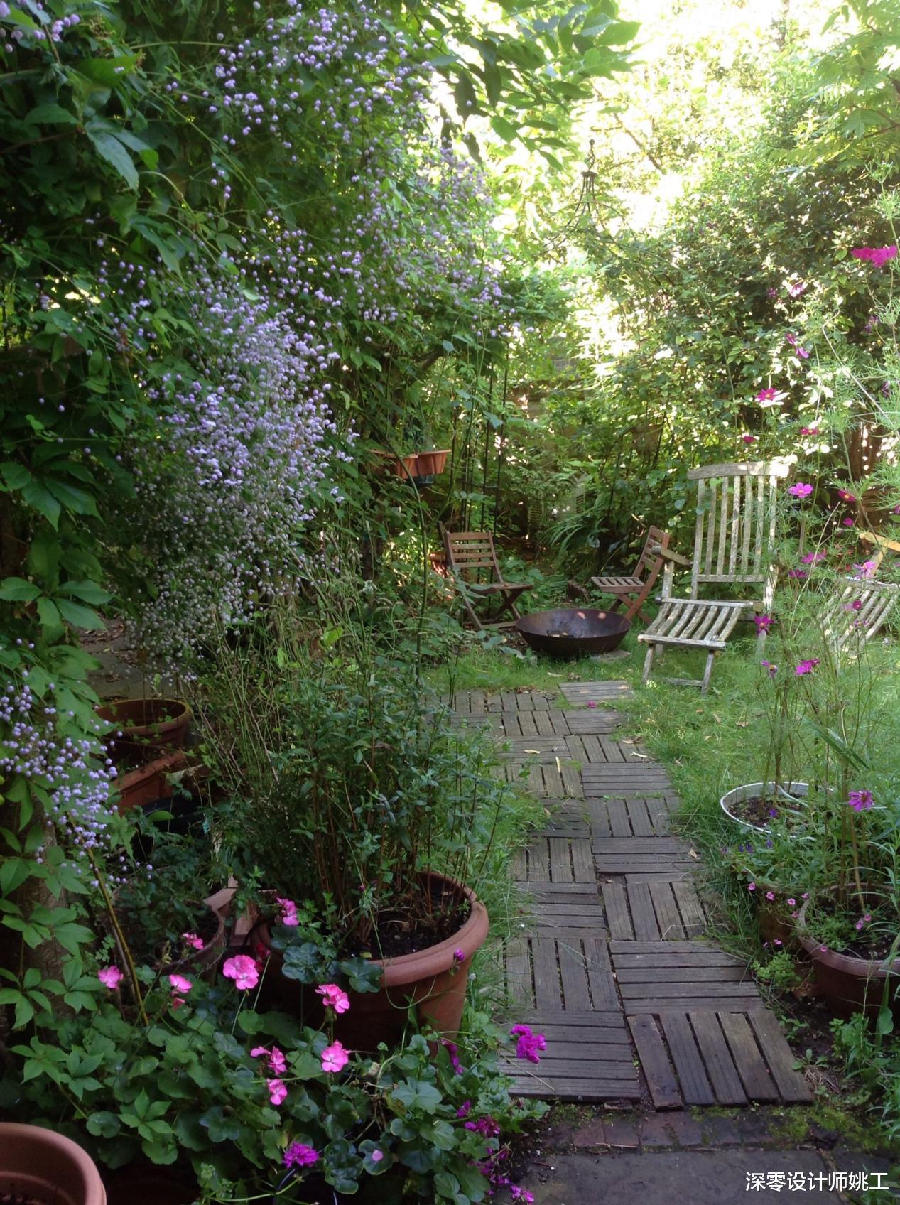 老一辈的人就是闲不下来,家里附带的院子,他们也给拿来养花种菜