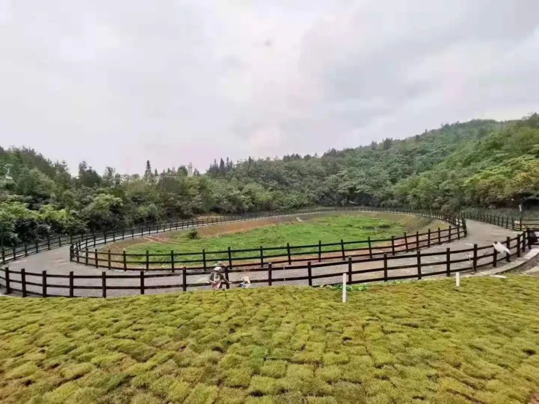昆明|温度飙升，这些深藏在黔江大山中的避暑地凉快惨了！