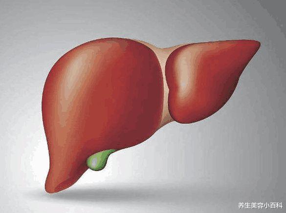 尿酸|早上醒来后没有这4个异常, 那你的肝脏很健康
