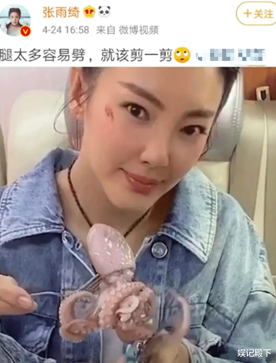 张雨绮|说男性是泰迪熊，诋毁战狼，煽动男女对立，张雨绮怎么就这么仇男