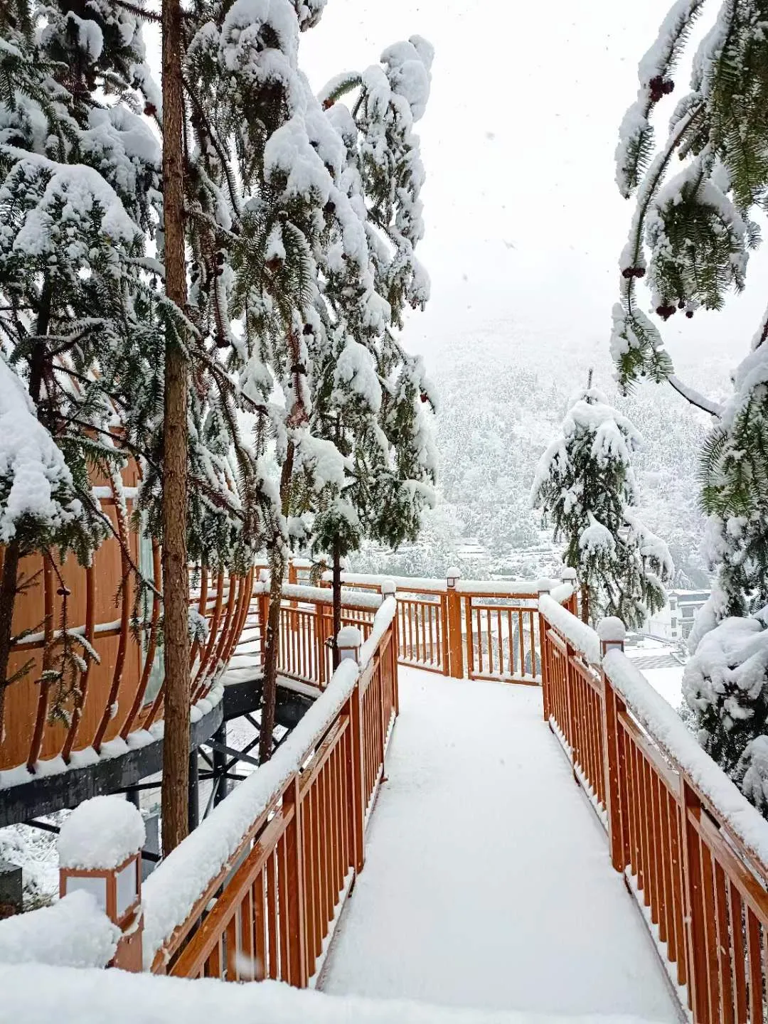 宁波|虎年首雪，哪处让你着迷~