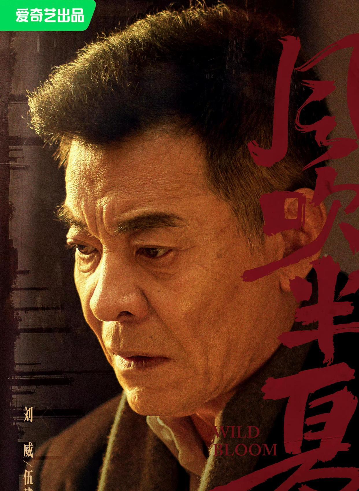 赵丽颖|大饼脸，鸡窝头，日晒斑齐上阵，赵丽颖新剧让我看到国产剧的希望