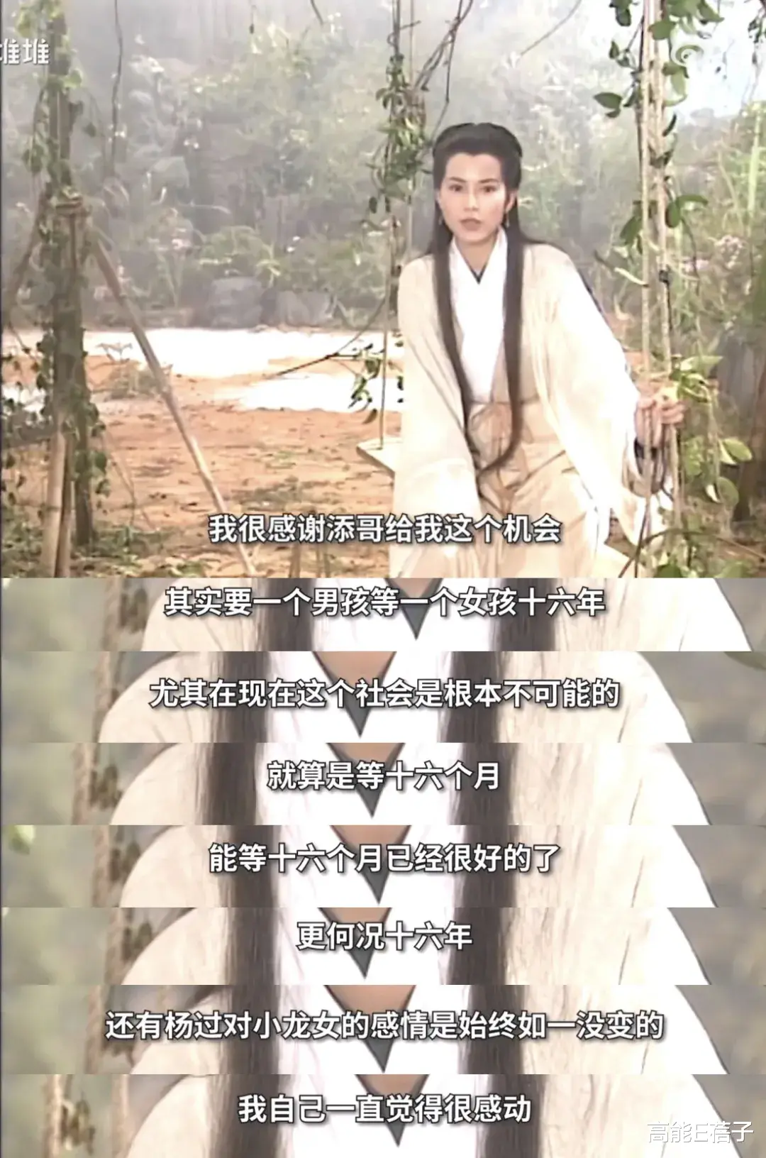 正午阳光|TVB星星同学会 | 95版《神雕侠侣》播出27年，他们又“归去来”了？