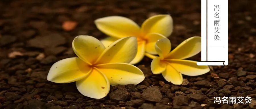 血糖|血糖:这个穴位稳血糖、清血脂,好处非常多!