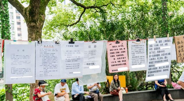 临澧|南昌老牌“相亲公园”百花洲,简历很详细,现场老年人比年轻人多