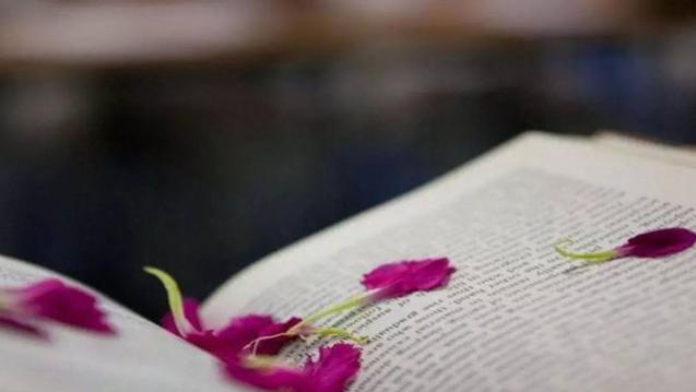 |人生最大的悲剧，是把幸福当成目标。而人生最大的错误，是想拥有一切而完全失去了它