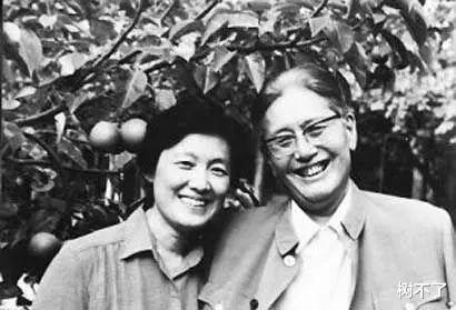 苏芒|怀念内娱阴阳怪气的好时光