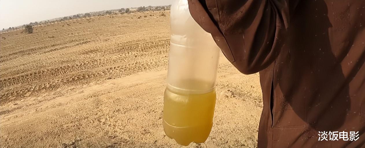 莫高窟|沙漠牧民：在65摄氏度的荒漠放牧，渴了就人畜共饮脏水
