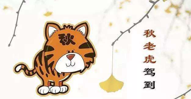 秋老虎|野钓时怎么应对“秋老虎”？做好5个调整，照样能过足钓鱼瘾