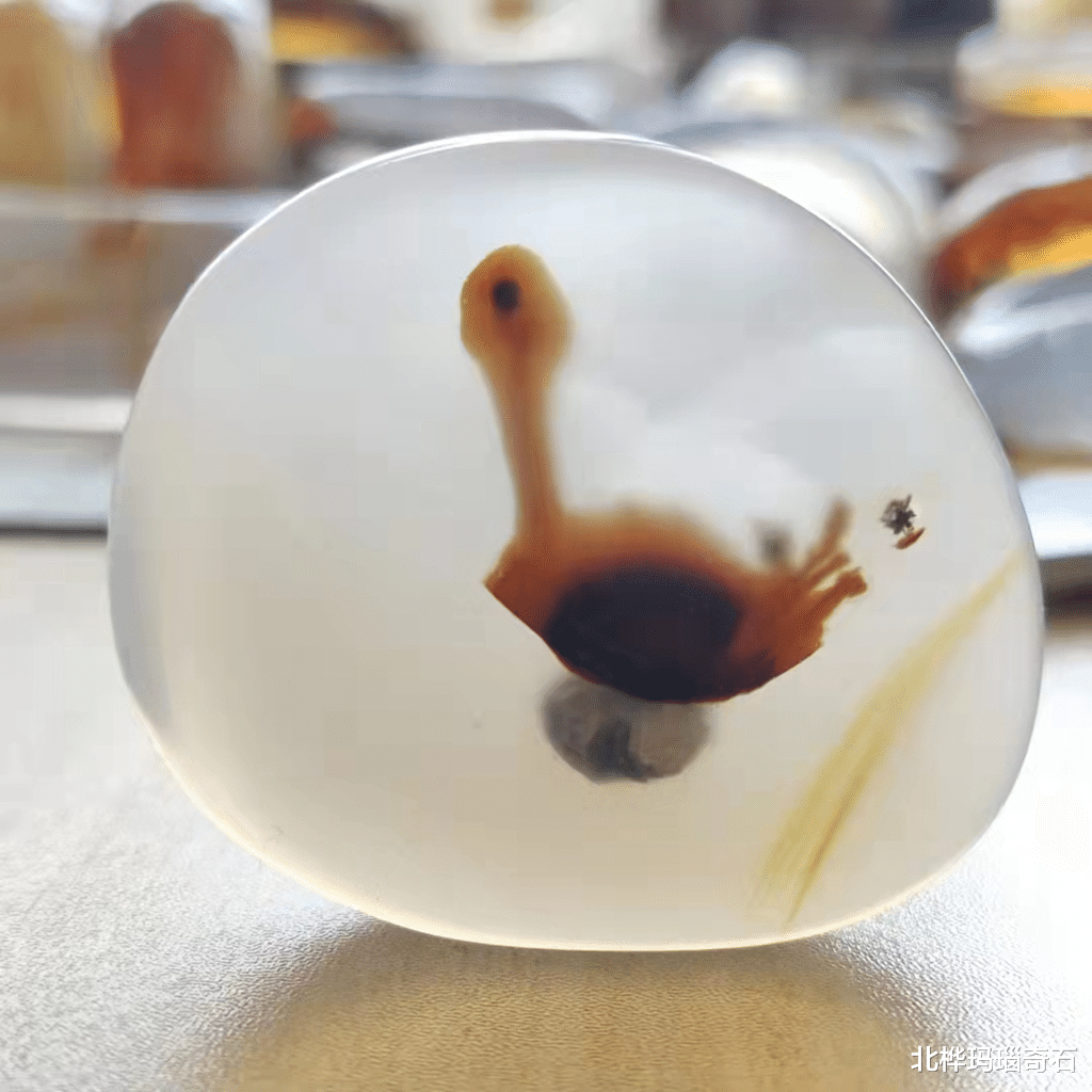 美丽|好看的石头有谁会不喜欢