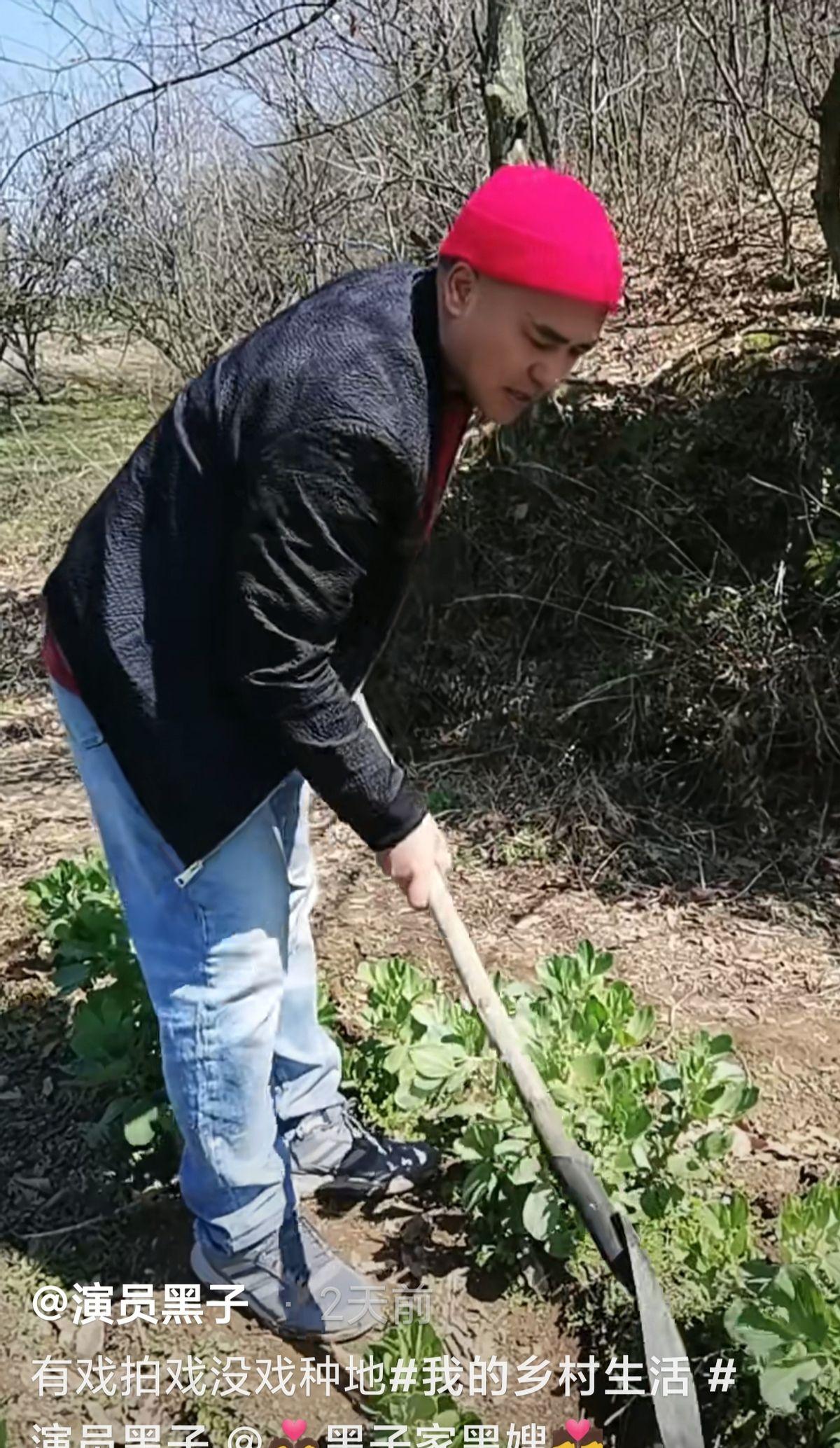 |老戏骨没戏拍就要回家种地？烈日下拿铁锹干活，身后满是苞米堆