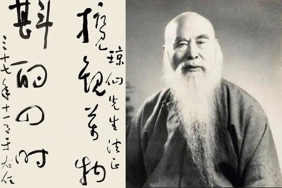 江国宾|欢欢的抛物线人生