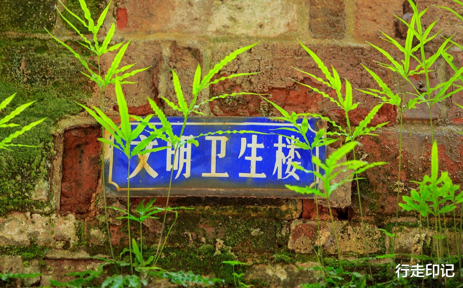 摩登时代|运河之畔的红洋房,藏着父辈们的摩登时代