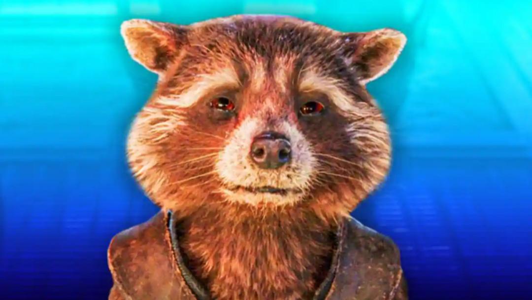 浣熊|《银护3》确认火箭浣熊即将死亡！星爵和反派赌命