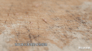 建议大家:若负担得起,给厨房添置3样“高级货”,幸福感倍增!