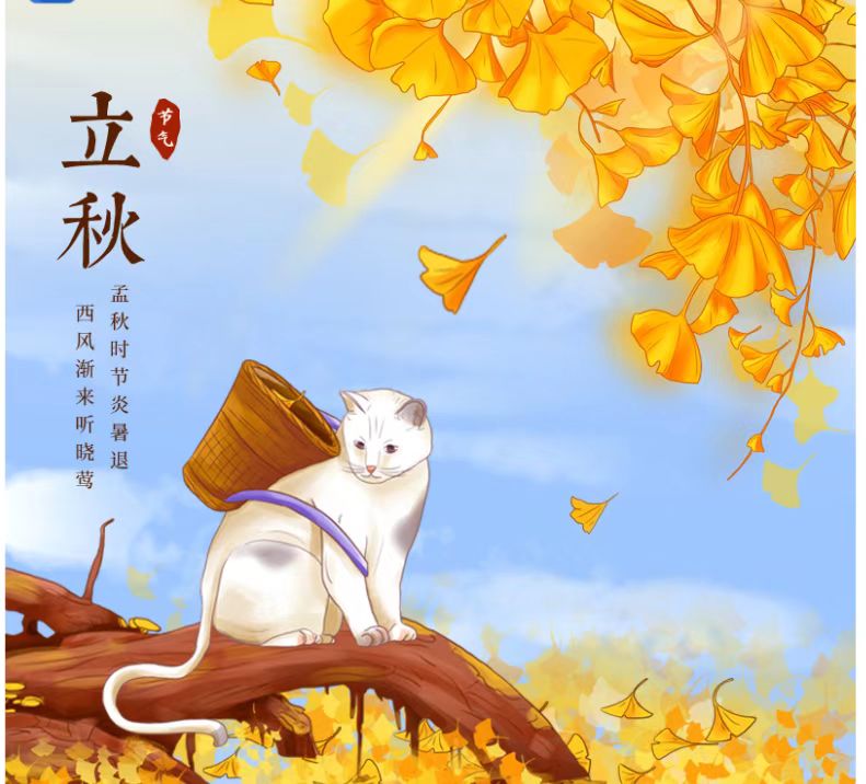淘宝|8月7日支付宝蚂蚁庄园，神奇海洋，淘宝芭芭农场，最新答案与解析