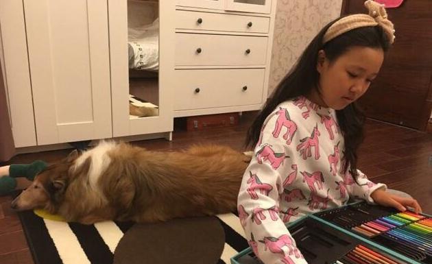 晒晒李静现实的豪宅,家里做旋转式楼梯,房间还是上下床