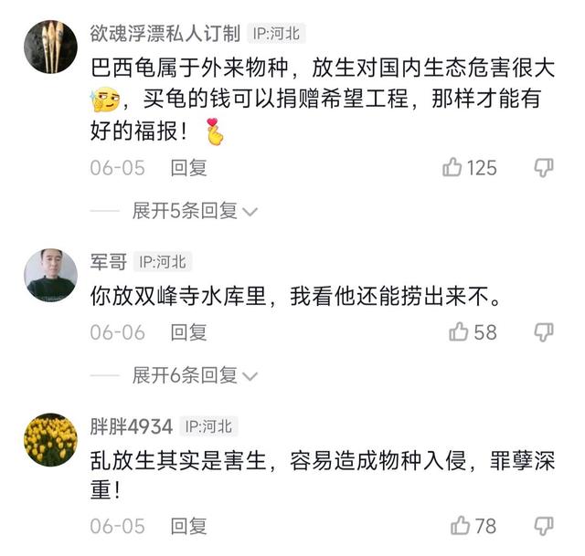 男子200块钱买乌龟放生,被商家捞出来再次售卖,网友:我也买了