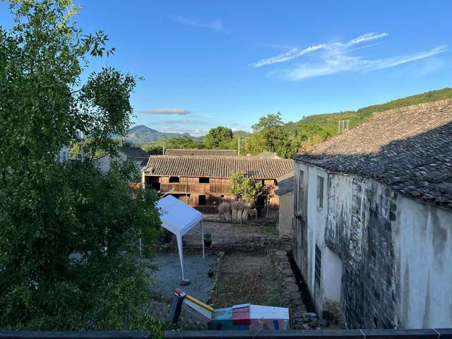 草原|引领民宿蝶变 点亮乡村未来