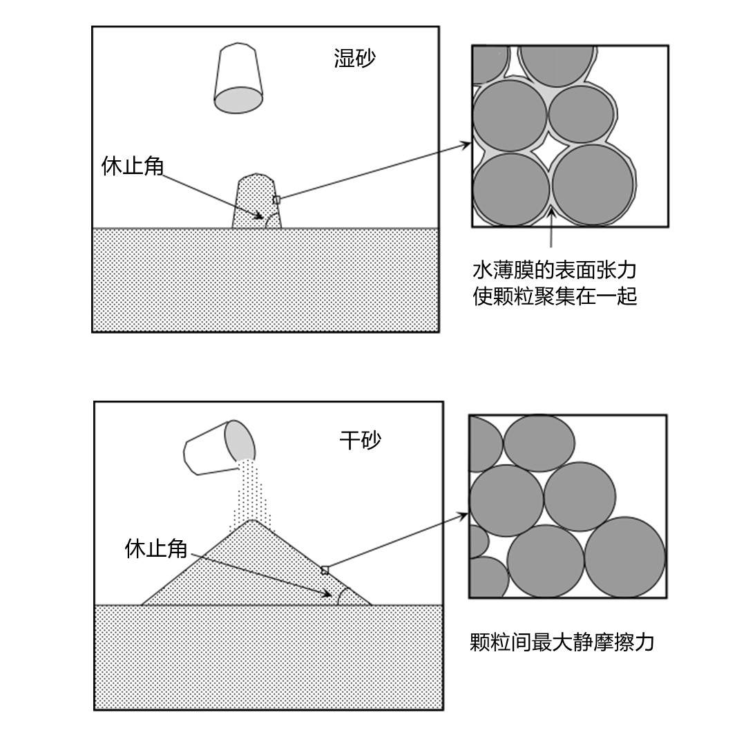 火星上有跟地球一样的大树和森林?这张照片很诡异