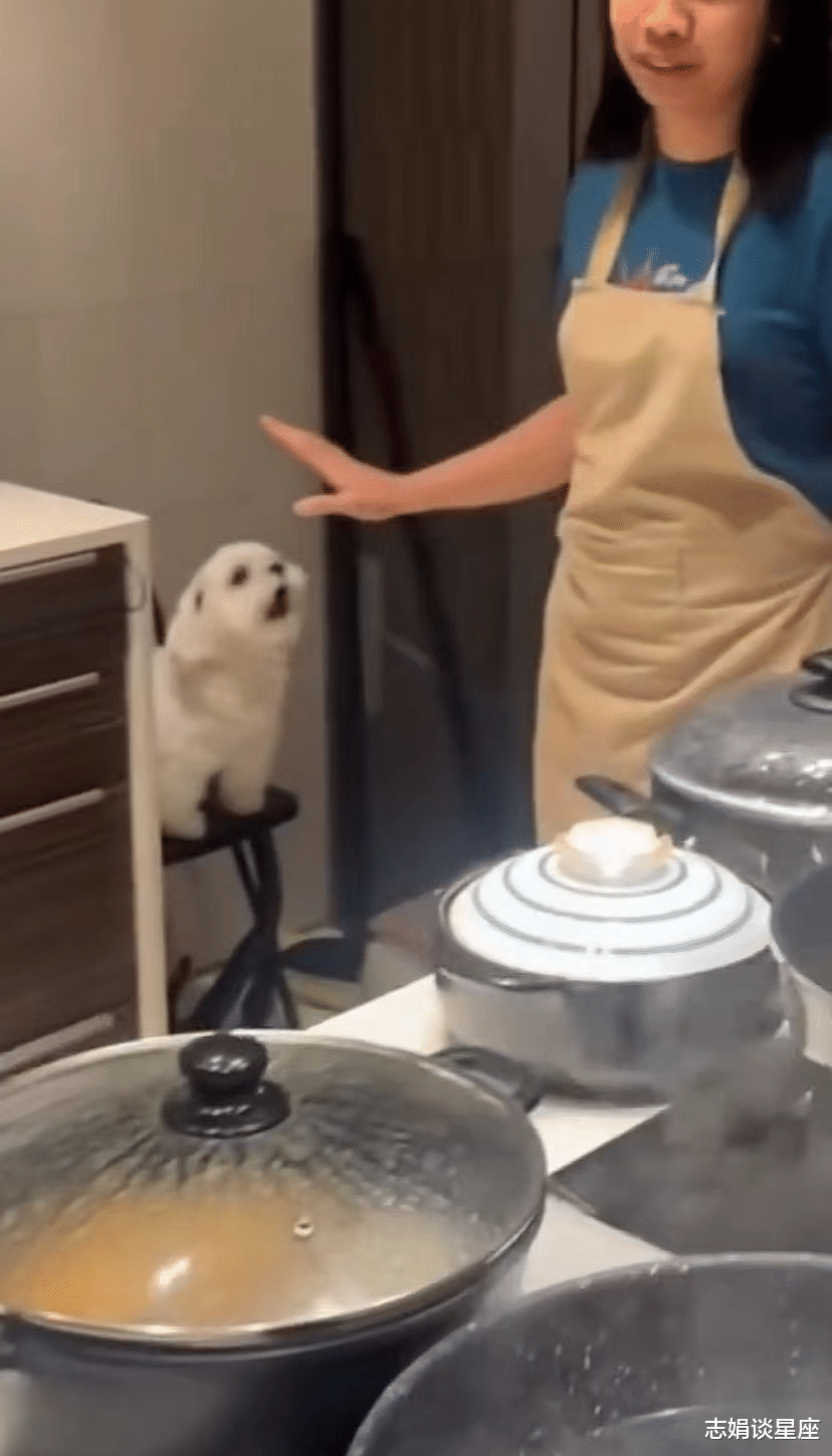 刘诗昆|83岁刘诗昆晒1岁女儿日常,家中保姆排成队照顾,豪宅内挤满佣人