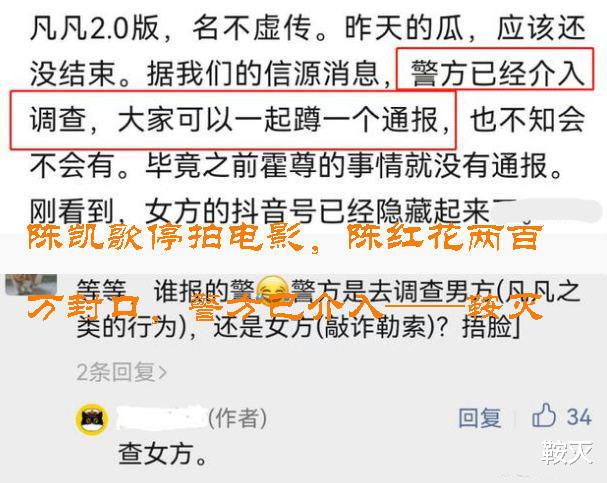 陈凯歌|陈凯歌停拍电影，陈红花两百万封口，警方已介入