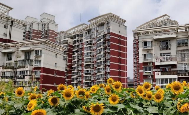 开封|曹德旺预言已应验？国内二三十层的高层住宅，未来将迎来什么结果