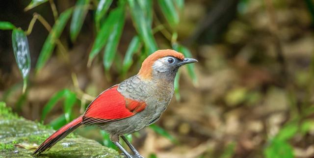 |在职场，真正聪明的人，往往具备九大生存“心计”，懂得保护自己