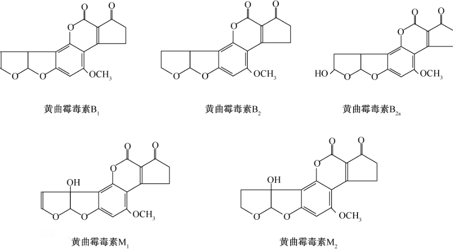 养生|“一克熟茶五亿霉菌，喝熟茶等于喝脏水”？普洱茶到底能不能喝？