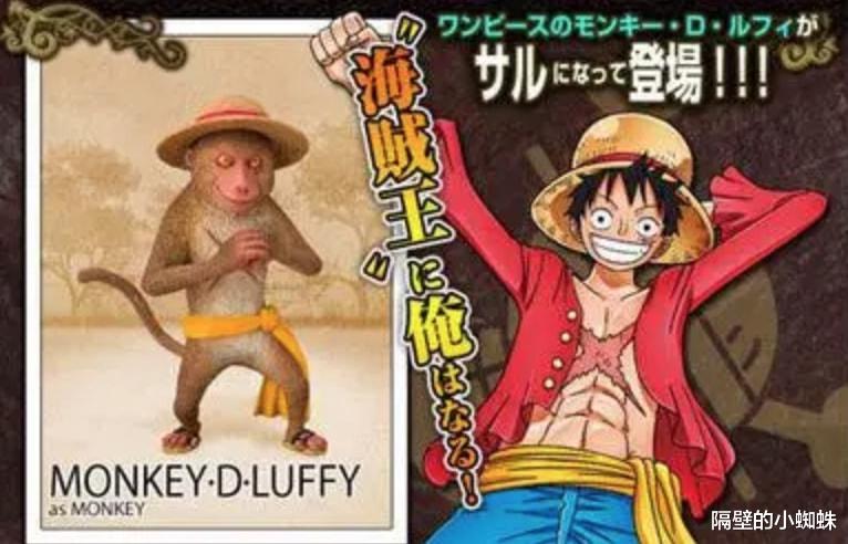 海贼王|海贼王1042话，橡胶果实原名“如意金箍棒”，变大变小，完全契合