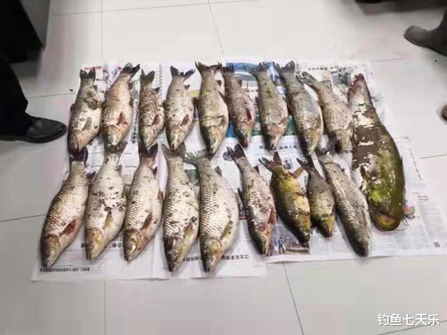 |重庆：非法锚鱼！11人被抓，另类“垂钓”为何屡禁不止？