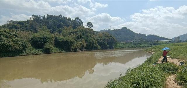 广东省|广东一河道边的神奇场景，大量渔获被随意丢弃，真相让人又喜又气