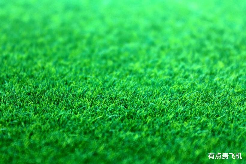 高跟鞋|这三个星座生,个性好,受人喜欢,但并不擅长交际