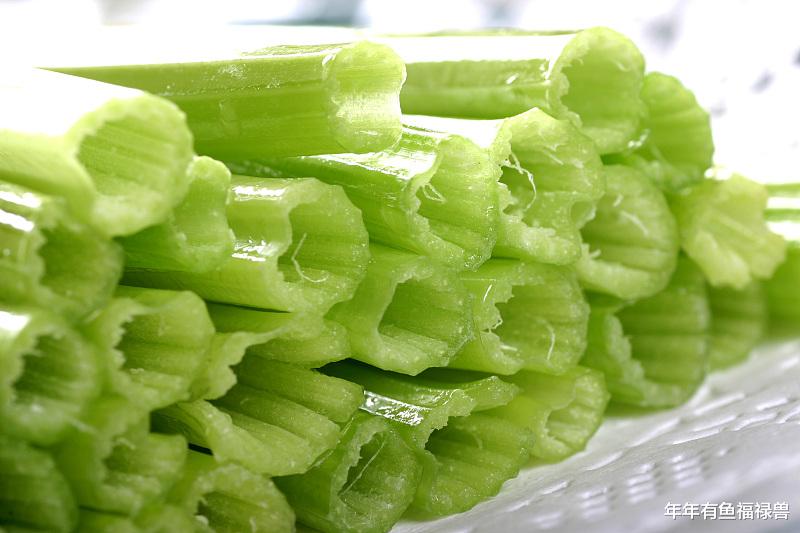 医生 进行瘦身时可以敞开来吃的7种食物