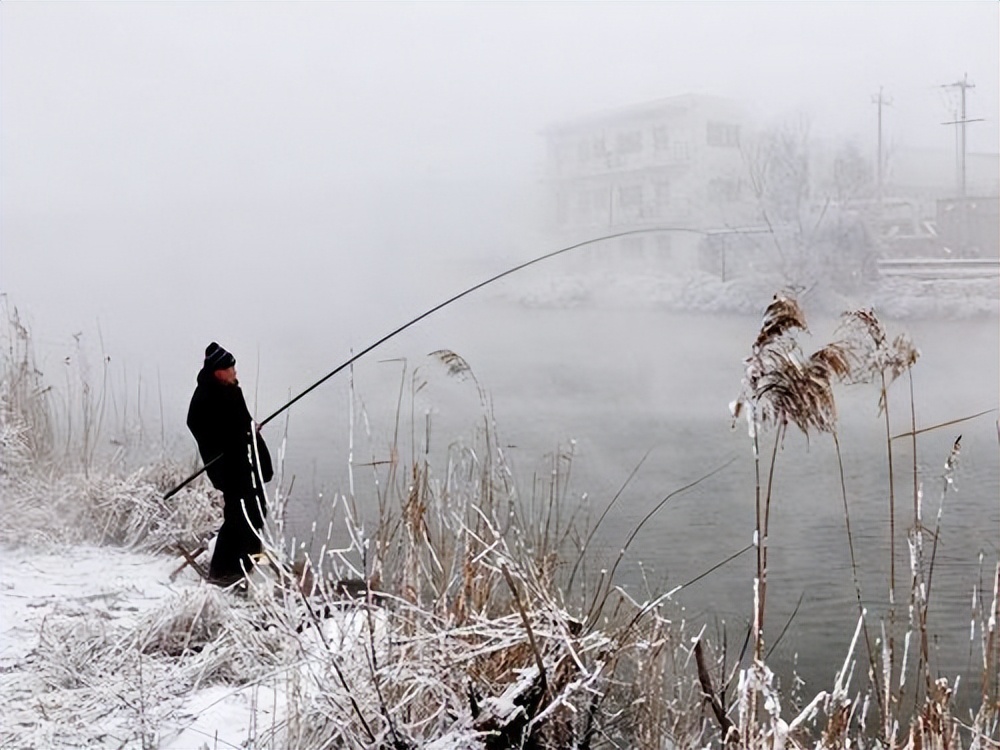 |北方冬季怎么钓好鱼?别动不动就封杆,这几点做好了照样上鱼