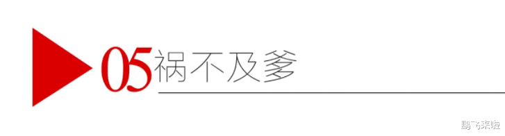 娱乐圈|虎年刚开始,娱乐圈的瓜田就已经开始丰收了吗?