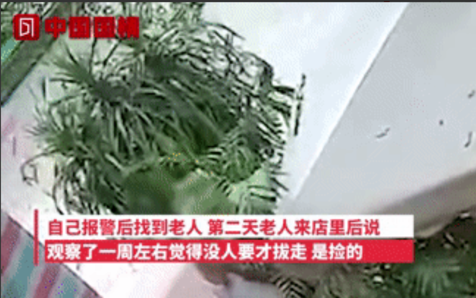 “这是我捡的,快给我道歉!”