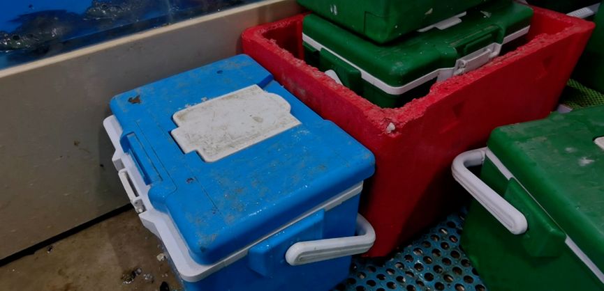 电子商务|媒体曝光的死鱼冒充活鱼的生鲜电商原来是这家