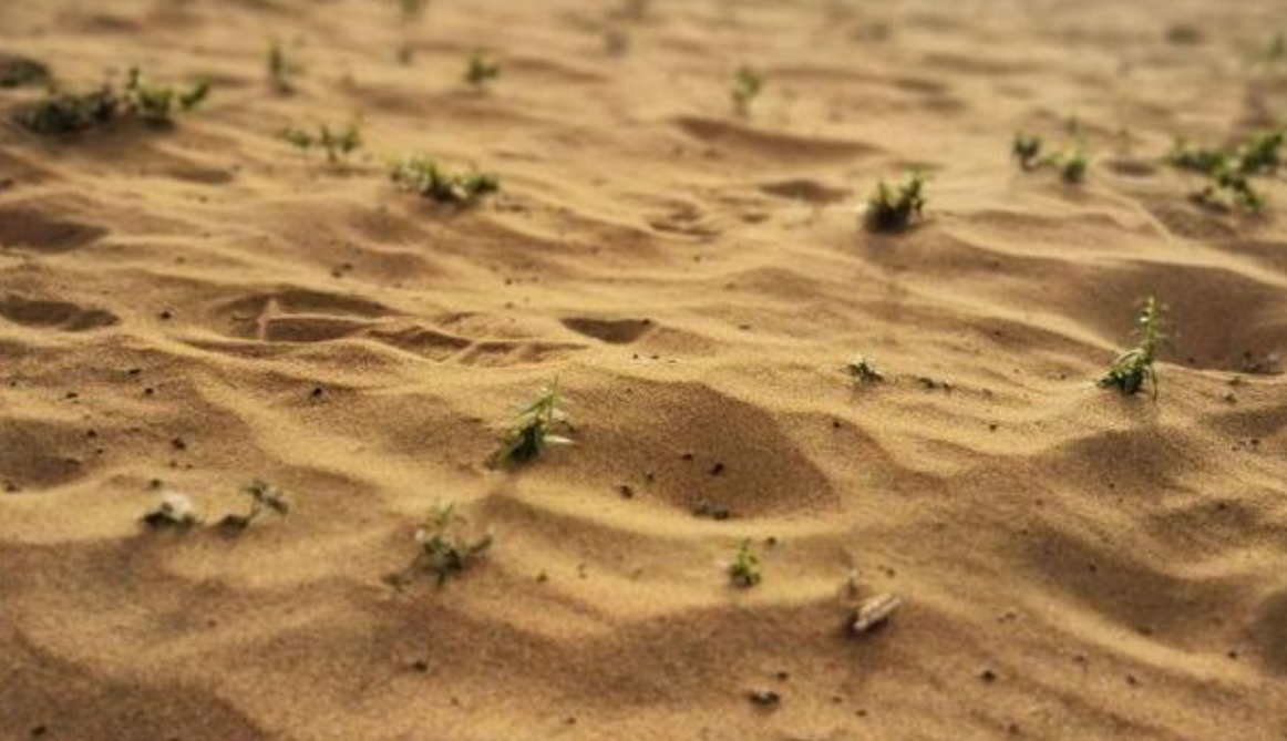 携程|阿里公布的一张“照片”，感动网友，原来他们真的没有骗人