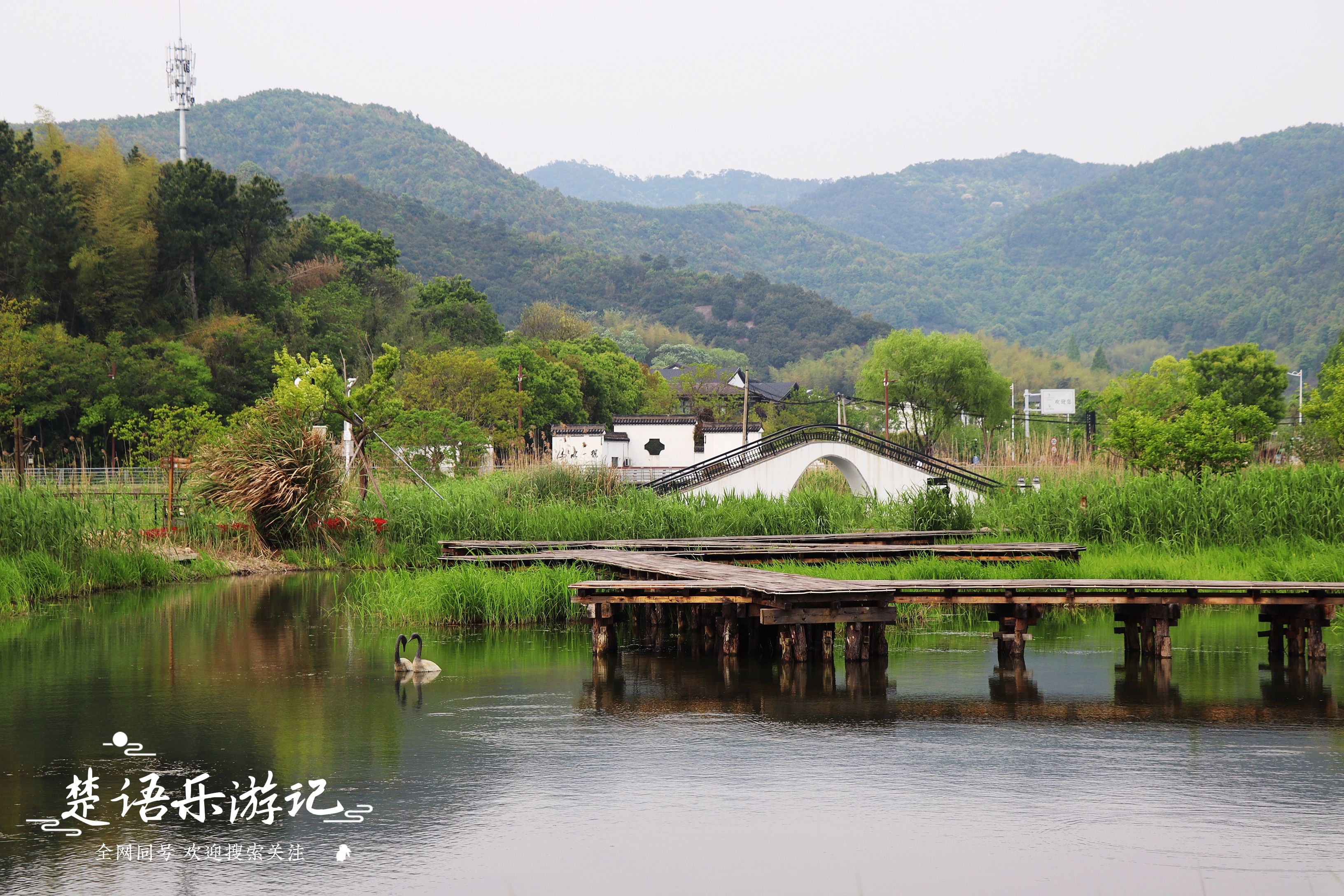 老龙潭|宁波城区的湿地公园，青山绿水芦苇荡，美成约会圣地却免费开放