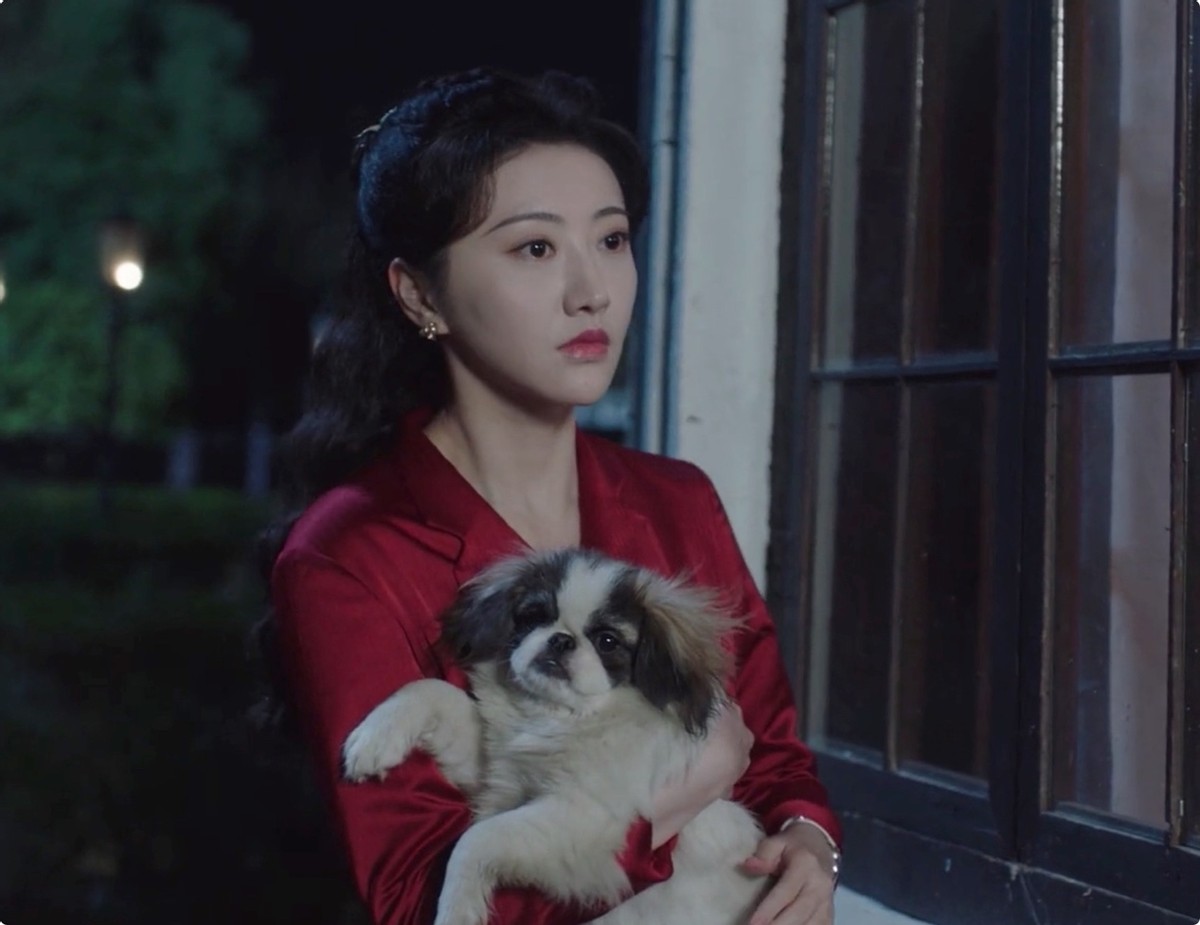 高圆圆|又一部王炸剧诞生!开播就好评霸屏,熬夜狂追8集太上瘾