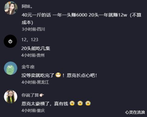 网红“恩克”大手笔,花20万买20头牛被坑,网友:一年净赚12万