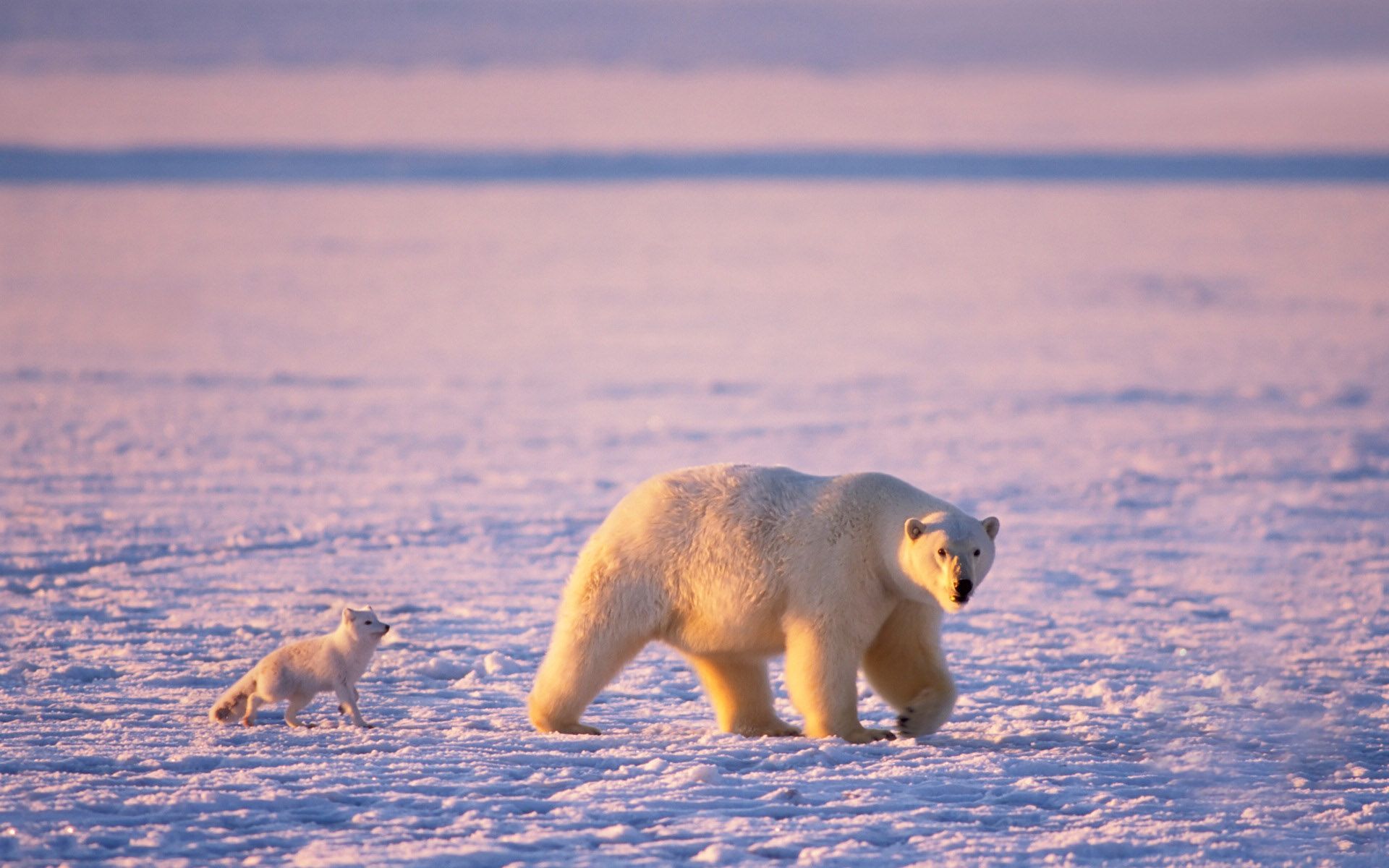处女座|你不主动,我们怎么可能有故事?这个星座永远在等待