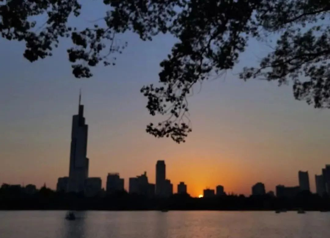 求职|毕业4年被裁3次,降薪也拼不过应届生,今年找工作的人有多难?