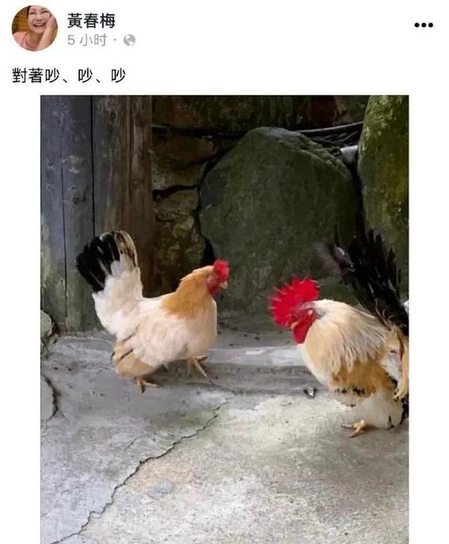 大S|大S一家可以录个真人秀了，S妈有点搞笑